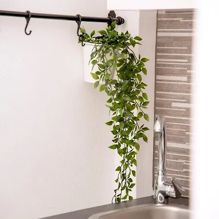 Argo-studios Διαμέρισμα